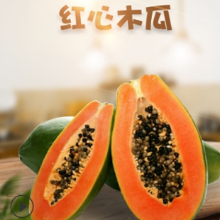 广西红心木瓜