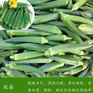 新鲜黄秋葵3斤...