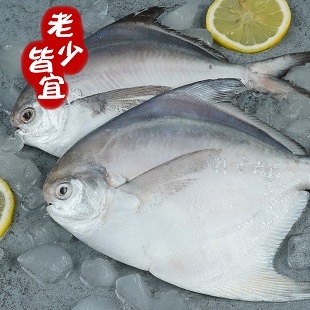 海鲜东海鲳鱼白...